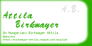 attila birkmayer business card